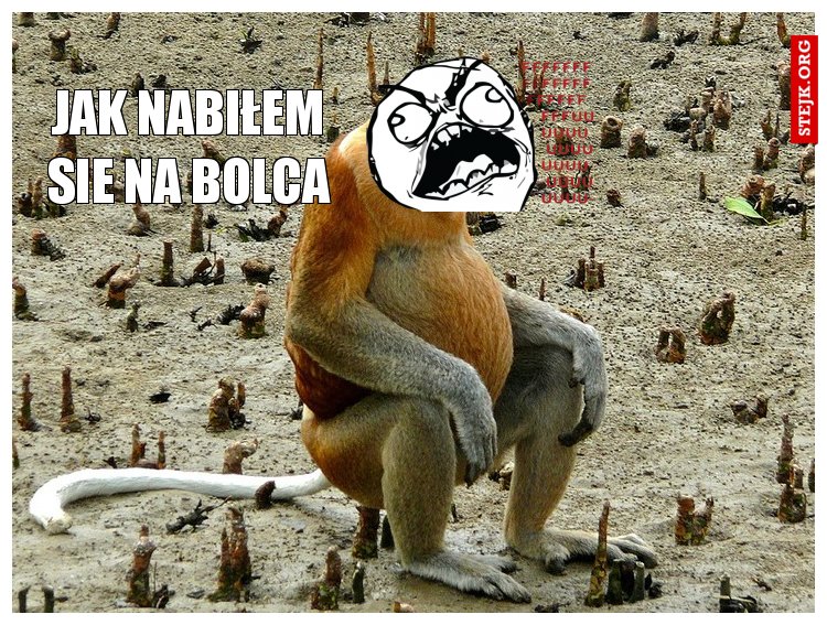 jak nabiłem sie na bolca