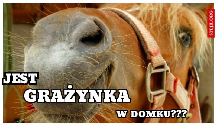 jest