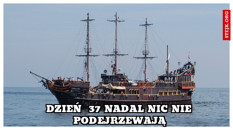 DZIEŃ  37 nadal nic nie podejrzewają
