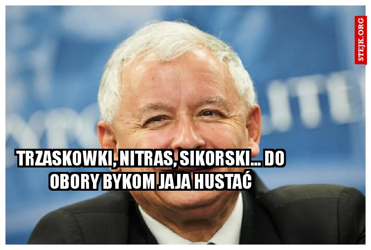 TRZASKOWKI, NITRAS, SIKORSKI... DO OBORY BYKOM JAJA HUSTAĆ...