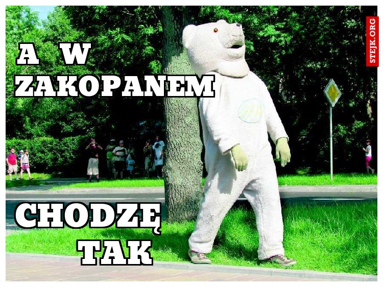 a  w            zakopanem
