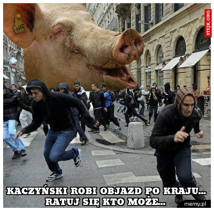 Kaczyński robi objazd po kraju... Ratuj się kto może... 