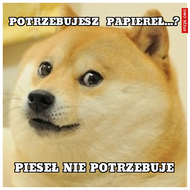 Potrzebujesz  papiereł...?