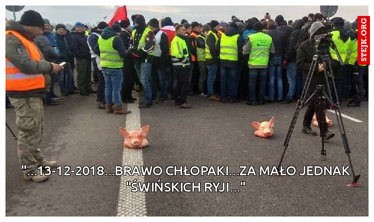 "...13-12-2018...brawo chłopaki...za mało jednak "świńskich ryji..."