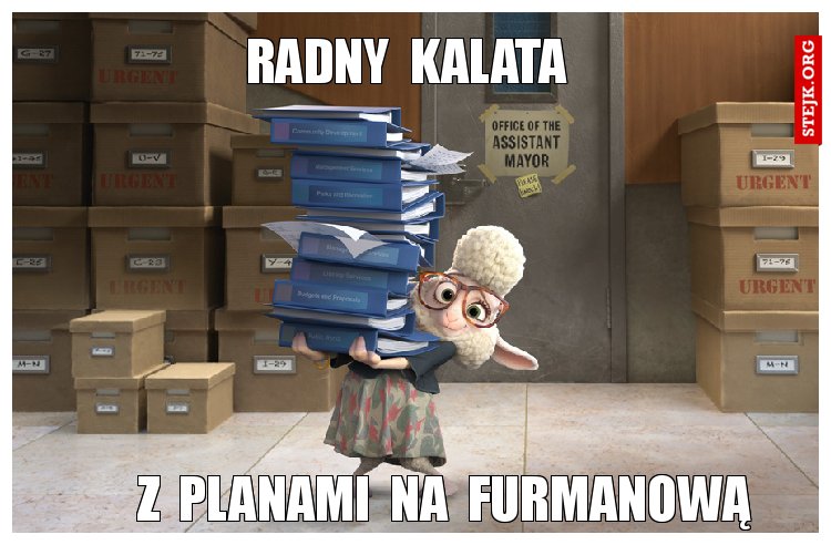 radny  kalata
