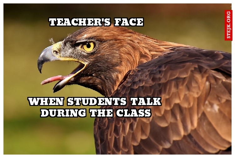 teacher's face