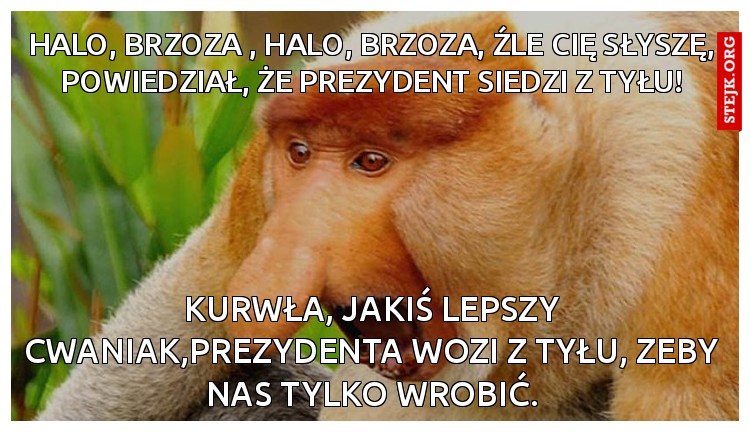 KURWŁA, JAKIŚ LEPSZY CWANIAK,PREZYDENTA WOZI Z TYŁU, ŻEBY NAS TYLKO WROBIĆ.
