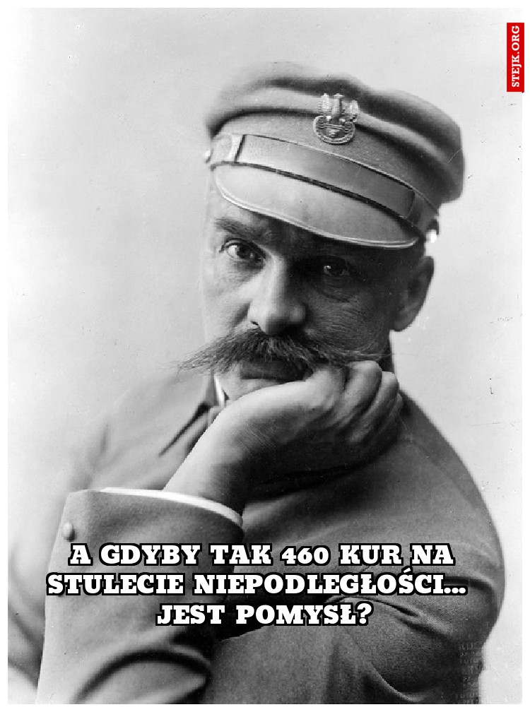 A gdyby tak 460 kur na stulecie niepodległości...  jest pomysł?