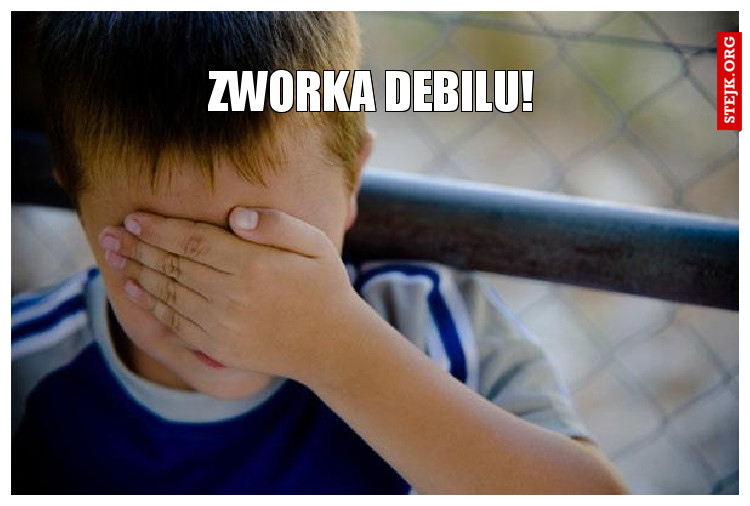 ZWORKA DEBILU!