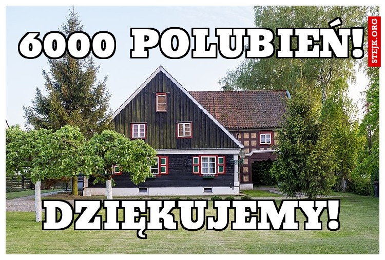 6000 polubień!