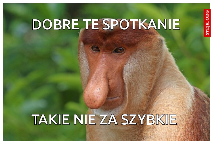 Dobre te spotkanie