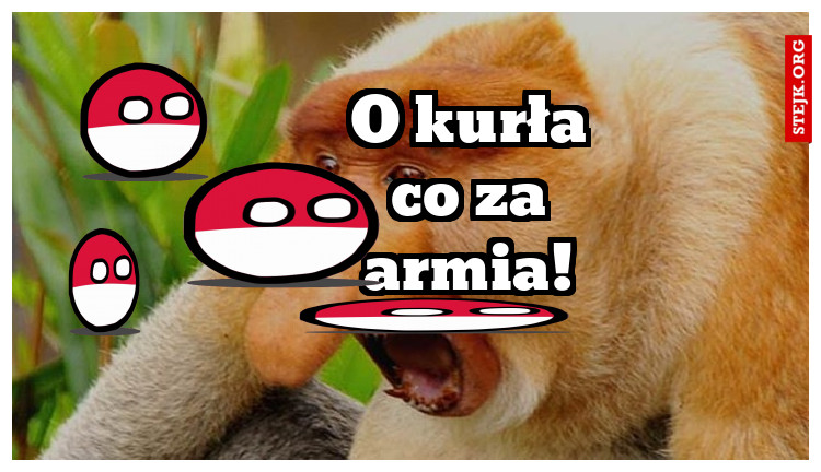 O kurła co za armia!