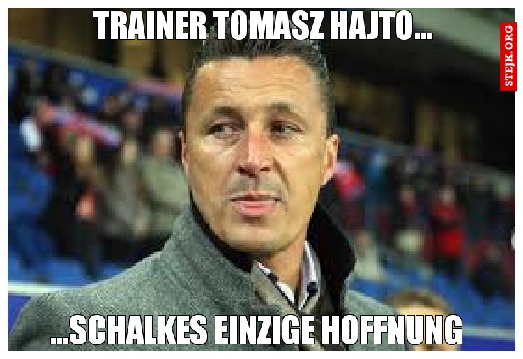 Trainer Tomasz Hajto...