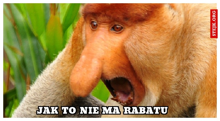 PANIE ILE TO KOSZTUJE