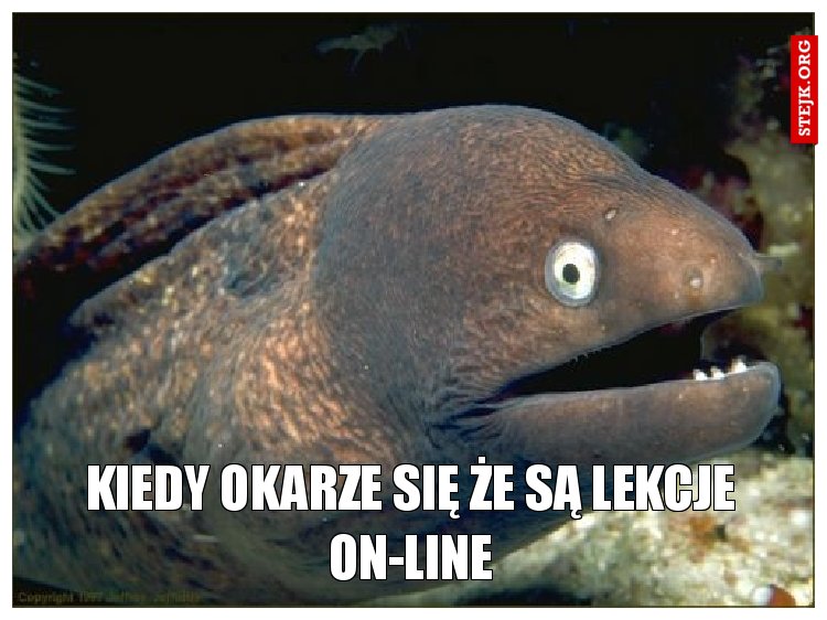 kiedy okarze się że są lekcje on-line