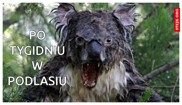 Po tygidniu w Podlasiu