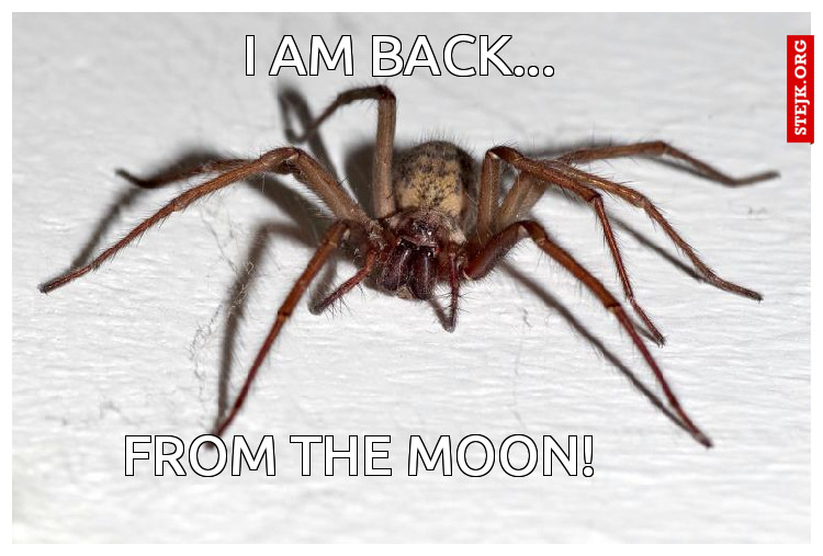 I AM BACK...
