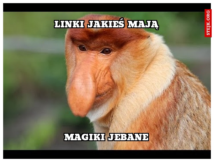 Linki jakieś mają