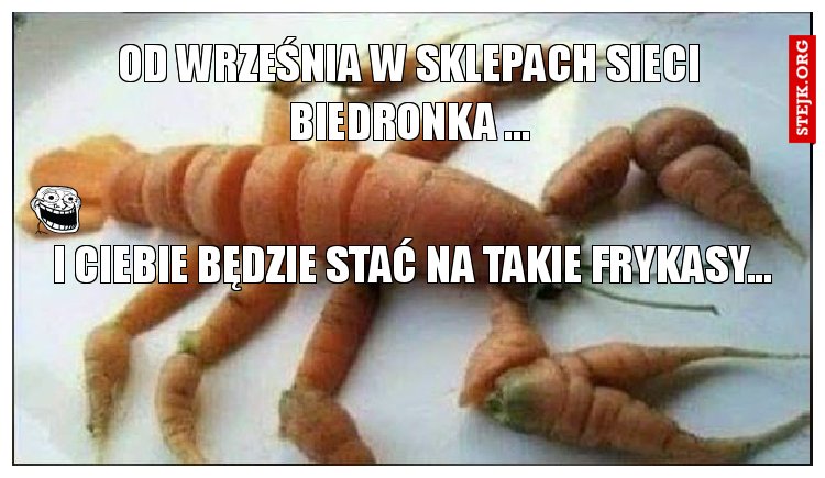 TE COŚ TO MOŻE BYĆ OLEJ ...DO GŁOWY Z PIERWSZEGO TŁOCZENIA ?