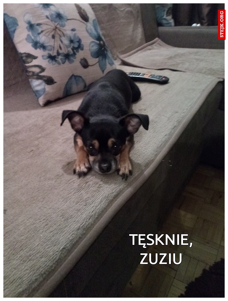 Tęsknie, zuziu