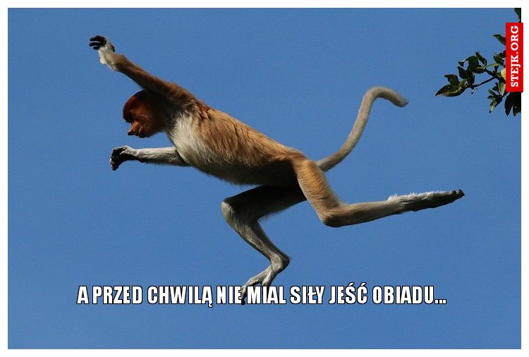 A PRZED CHWILĄ NIE MIAL SIŁY JEŚĆ OBIADU...
