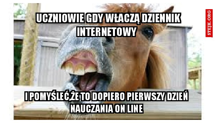  UCZNIOWIE GDY WŁACZĄ DZIENNIK INTERNETOWY 