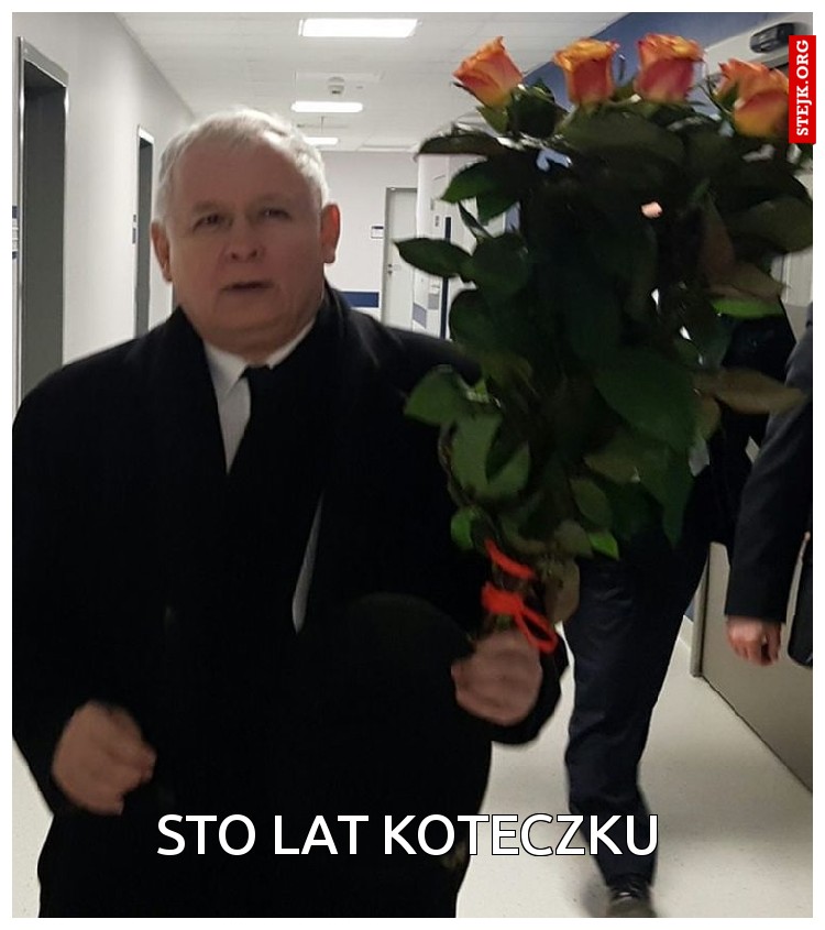 Sto lat koteczku