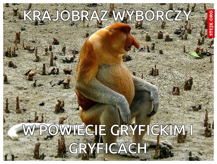 krajobraz wyborczy