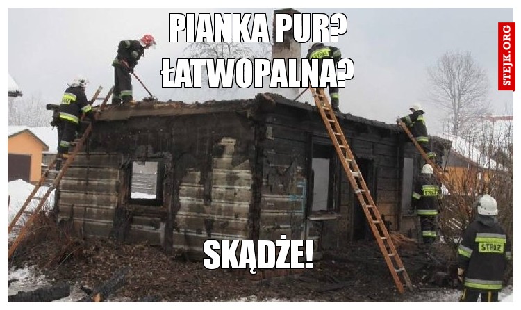 pianka pur?