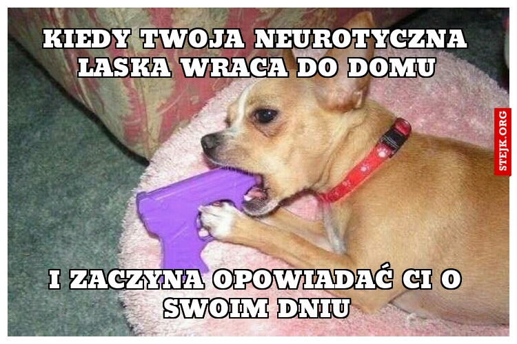 Kiedy Twoja neurotyczna laska wraca do domu