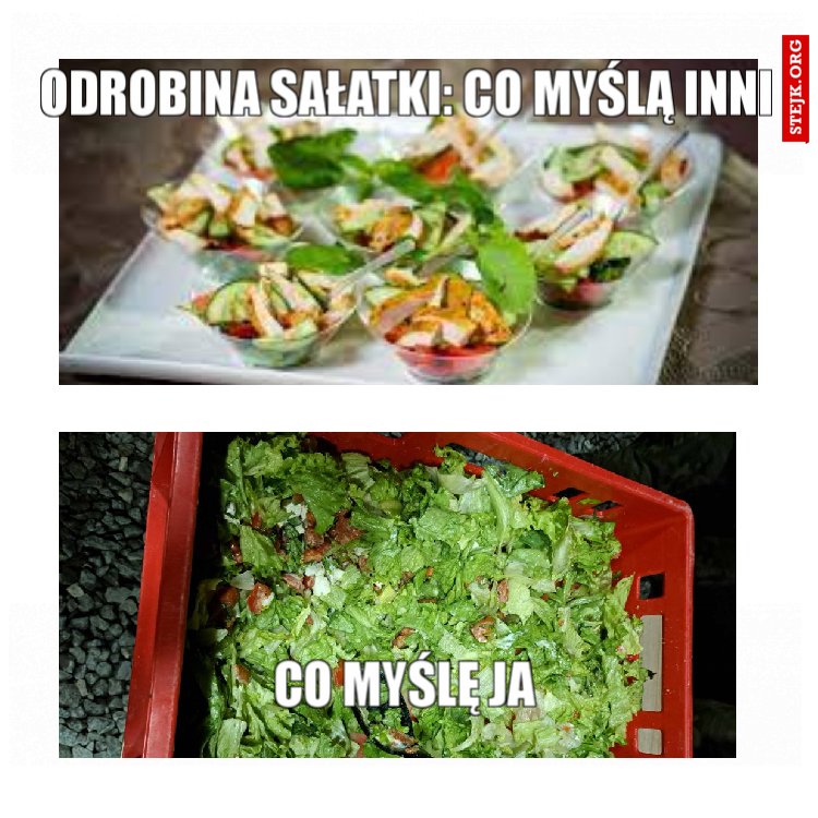 Odrobina sałatki: co myślą inni
