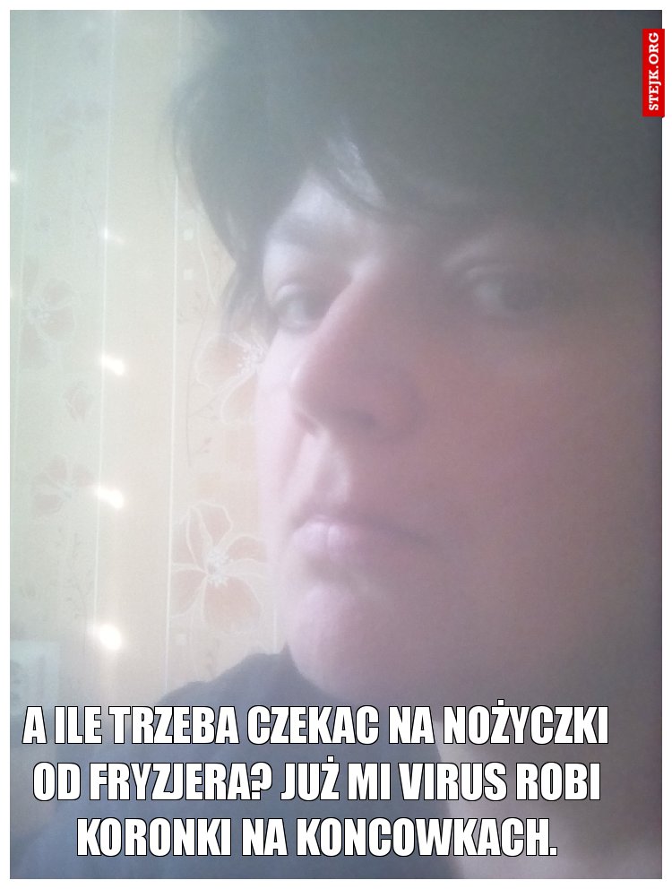 A ile trzeba czekac na nożyczki od fryzjera? Już mi virus robi koronki na koncowkach.