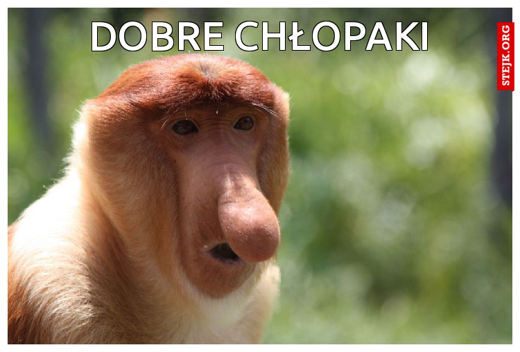 dobre chłopaki