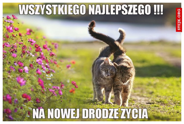 WSZYSTKIEGO NAJLEPSZEGO !!!