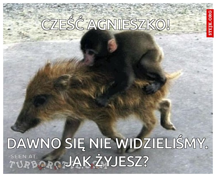 Cześć Agnieszko! 