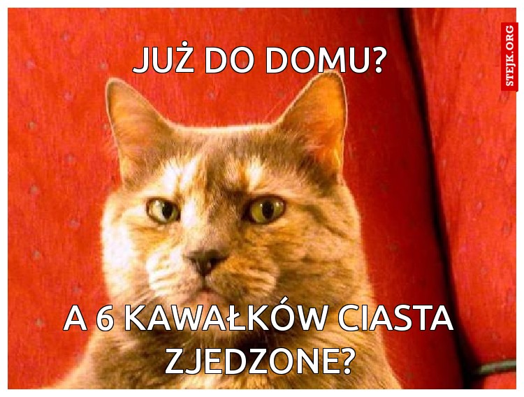 JUŻ DO DOMU?