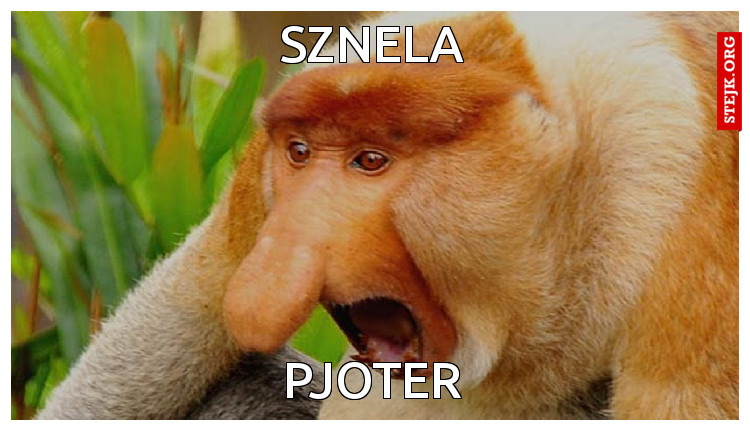 sznela