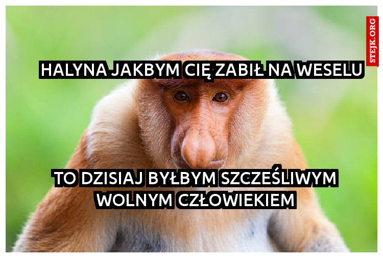 Halyna jakbym cię zabił na weselu
