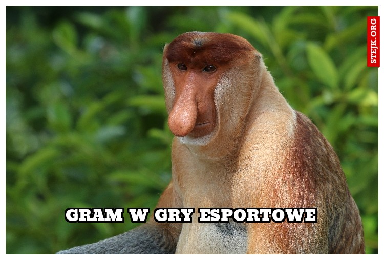 Gram w gry esportowe