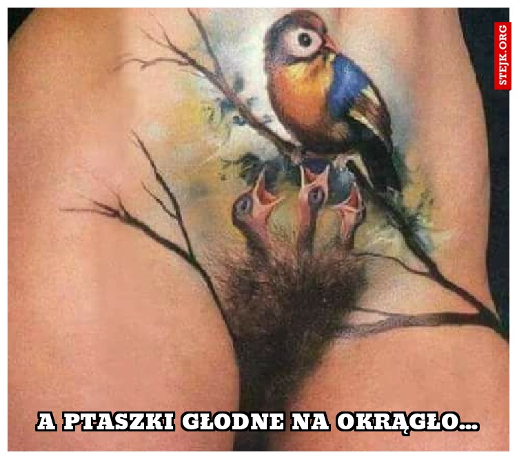 a ptaszki głodne na okrągło...