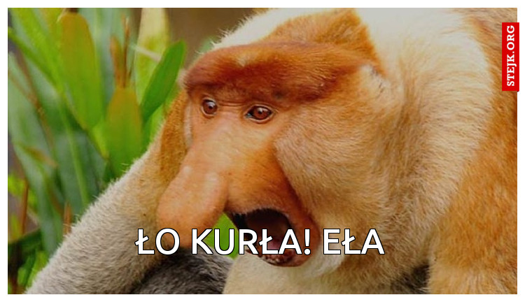 Ło Kurła! Eła