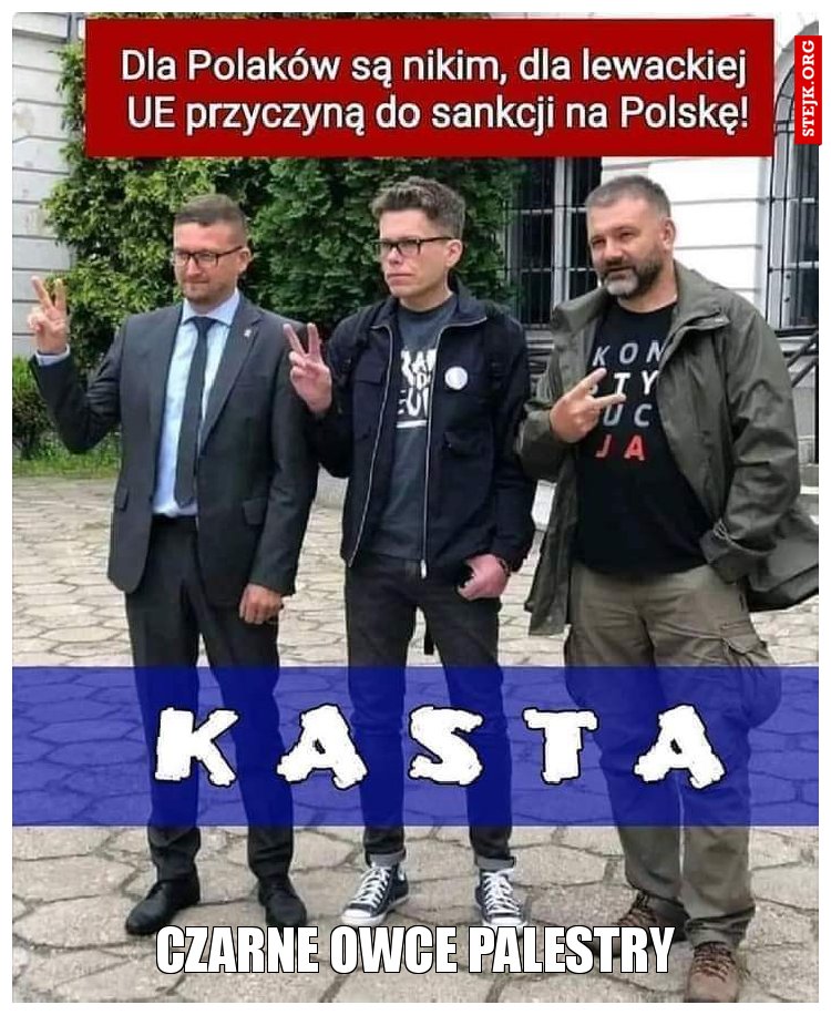 Czarne owce palestry