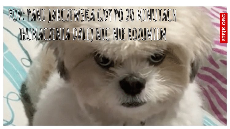 Pov: Pani Jarczewska gdy po 20 minutach tłumaczenia dalej nic nie rozumiem