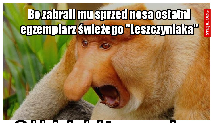 Samozwańczy Instytut Promocji Czytelnictwa zaleca