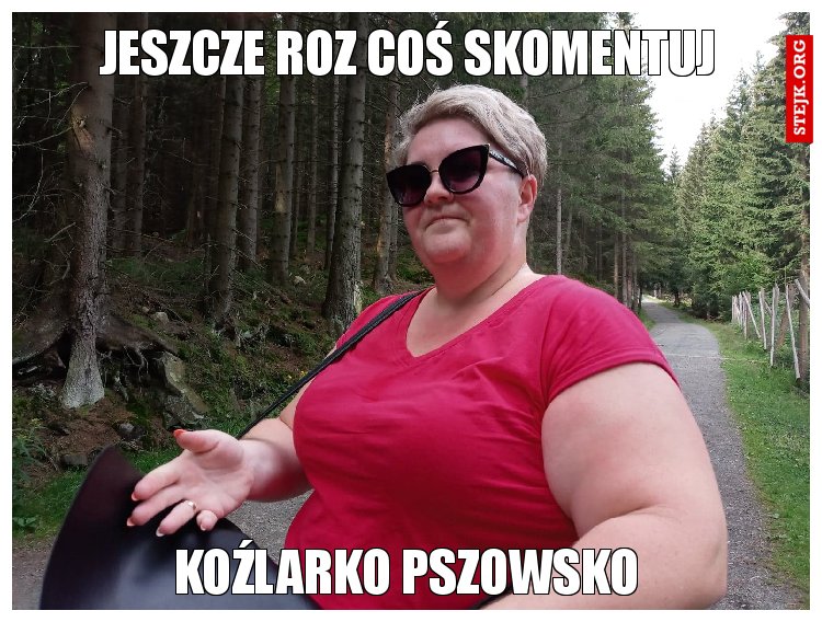 JESZCZE ROZ COŚ SKOMENTUJ