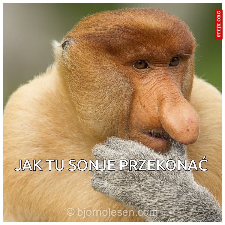 Jak tu Sonje przekonać 