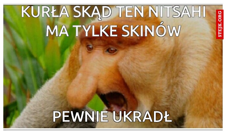 Kurła skąd ten Nitsahi 