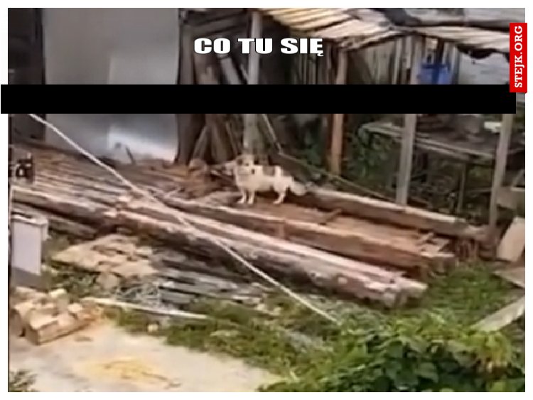 CO TU SIĘ