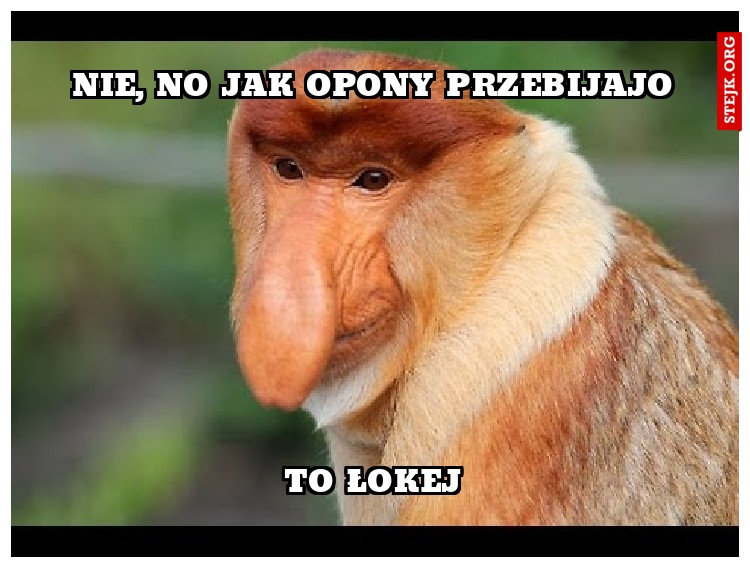 Nie, no jak opony przebijajo