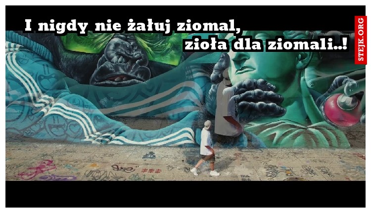 I nigdy nie żałuj ziomal,                                             zioła dla ziomali..!